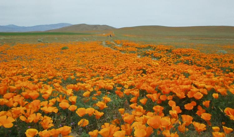 View from road